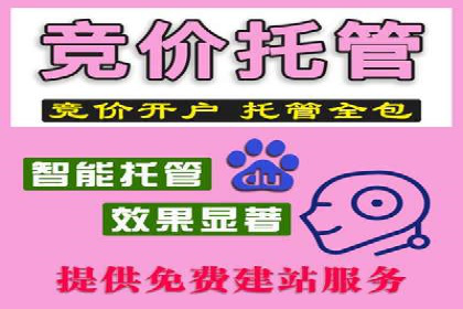 某电商平台的SEM优化全流程案例分享